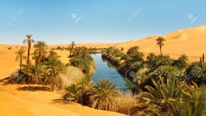 Oasis in the middle of the Sahara desert 