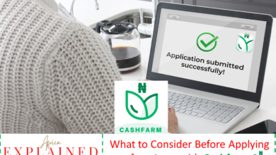 What to consider before applying for a loan with cashfarm
